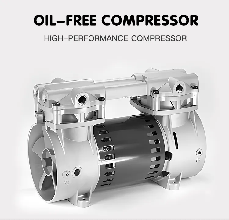 Кислородный концентратор для животных B-1 (5)